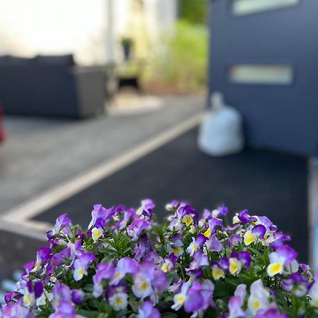 Appartamento Ihana Asunto - The Nest With Sauna In Vaasa Esterno foto